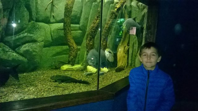 zoo 28